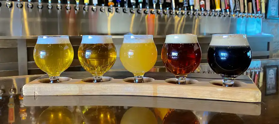 50 craft draft beers blonde abbey pilsners ipa stout flight
